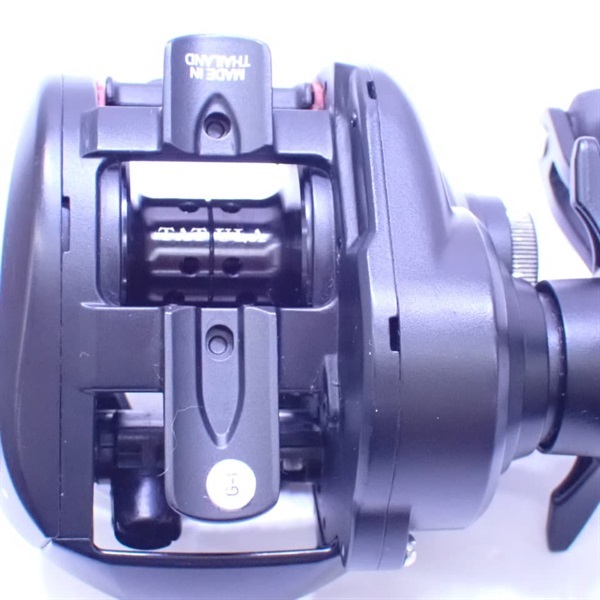 １９タトゥーラＴＷ１００ＳＨ